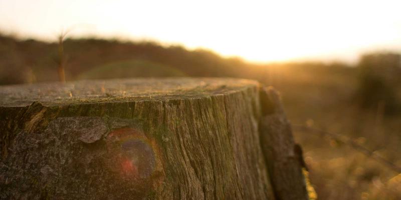 哈尔滨玻璃产业数字化转型：物联网与大数据如何重塑生产监控与质量控制新格局