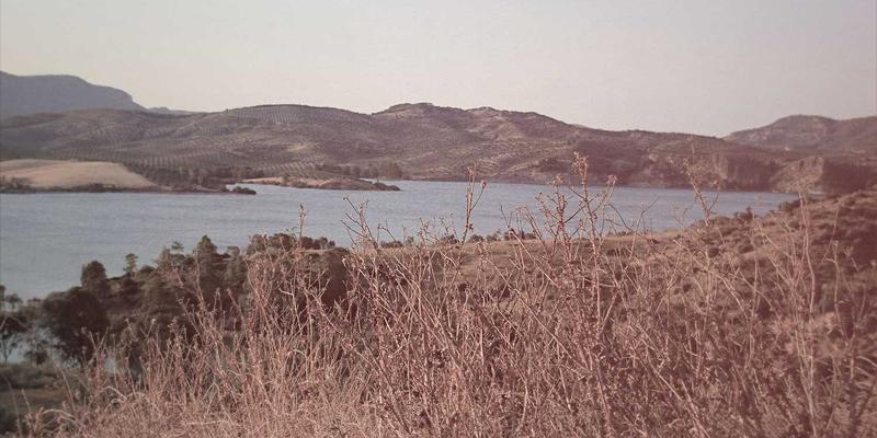 哈尔滨玻璃：从传统制品到现代深加工的产业升级之路