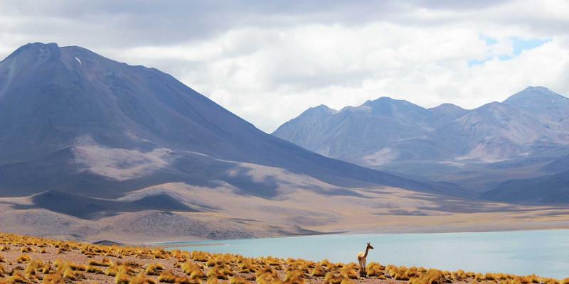 哈尔滨玻璃深加工企业如何破局？从代工到自主品牌的战略转型之路