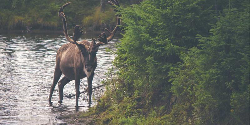 哈尔滨玻璃深加工新篇章：BIPV光伏玻璃技术如何驱动东北绿色能源革命