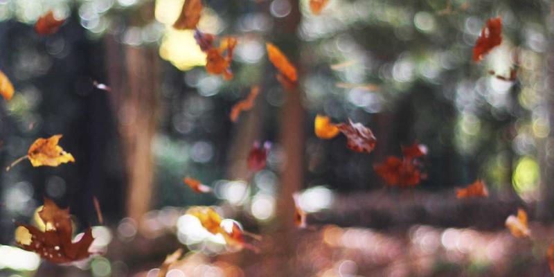 哈尔滨玻璃深加工行业标准全解析：国标、行标与企业质量体系的构建指南